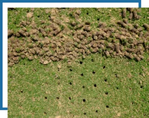 Another Mow Pros image, serving Brownwood, Austin, San Antonio and the surrounding Central Texas area with Lawn Care, Landscaping, Irrigation and Tree services.