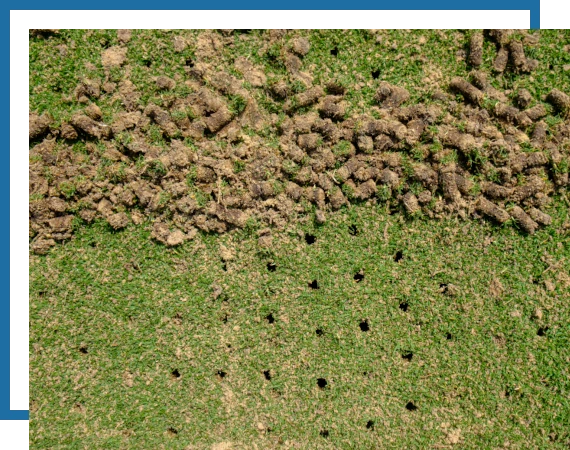 Aeration-Overseeding-Page-1 Another Mow Pros image, serving Brownwood, Austin, San Antonio and the surrounding Central Texas area with Lawn Care, Landscaping, Irrigation and Tree services.