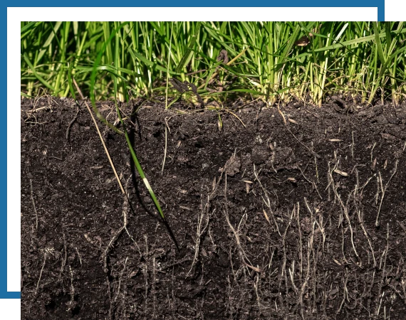 Fertilizer-Weed-Control-Page-1 image of grass and soil illustrating new irrigation designs and installation by Mow Pros. Fertilization