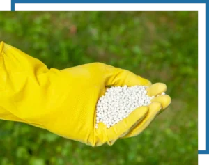 fertilization image. Yellow glove holding fertilizer