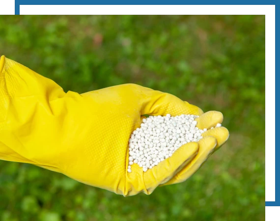 Fertilizer-Weed-Control-Page-2 fertilization image. Yellow glove holding fertilizer
