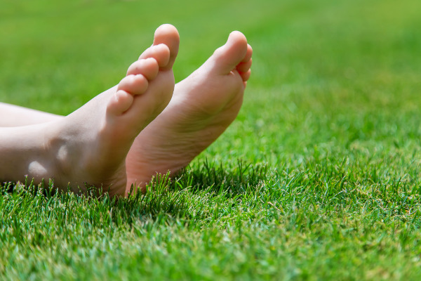 Another Mow Pros image, serving Brownwood, Austin, San Antonio and the surrounding Central Texas area with Lawn Care, Landscaping, Irrigation and Tree services.