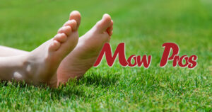 Another Mow Pros image, serving Brownwood, Austin, San Antonio and the surrounding Central Texas area with Lawn Care, Landscaping, Irrigation and Tree services.