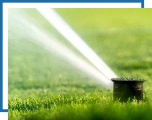 image showing residential irrigation sprinkler head