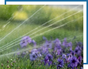 image showing residential irrigation sprinkler system