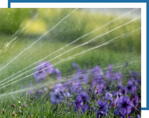 Irrigation-Residential-2 image showing residential irrigation sprinkler system