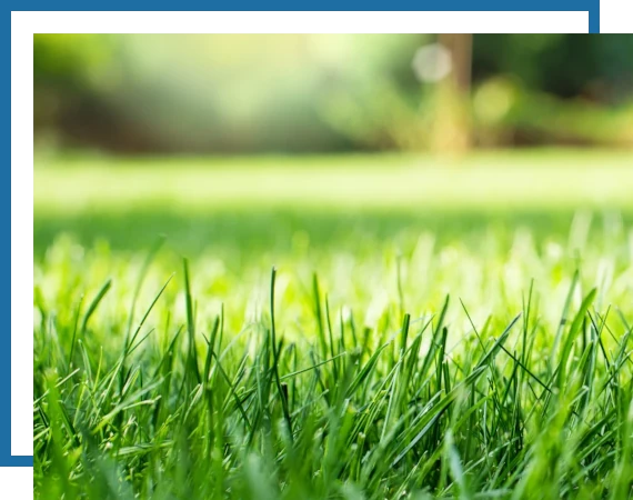 Irrigation-Residential-3 Mow Pros lawn, irrigation, lawncare, tree trimming