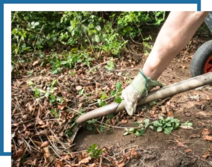 Another Mow Pros image, serving Brownwood, Austin, San Antonio and the surrounding Central Texas area with Lawn Care, Landscaping, Irrigation and Tree services.