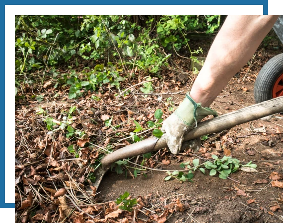 Landscaping-Cleanups-1 Another Mow Pros image, serving Brownwood, Austin, San Antonio and the surrounding Central Texas area with Lawn Care, Landscaping, Irrigation and Tree services.