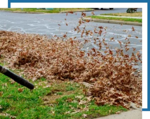 image illustrating seasonal cleanups, blowing leaves