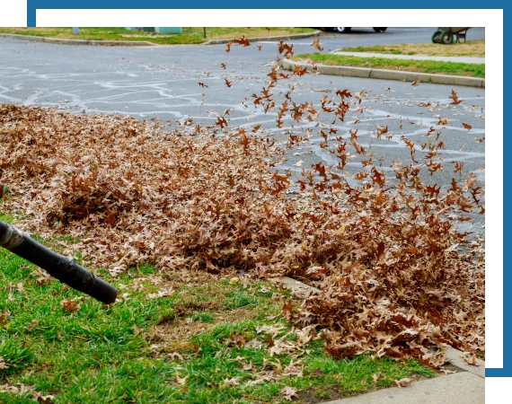 Landscaping-Cleanups-2 image illustrating seasonal cleanups, blowing leaves