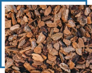 Another Mow Pros image, serving Brownwood, Austin, San Antonio and the surrounding Central Texas area with Lawn Care, Landscaping, Irrigation and Tree services.