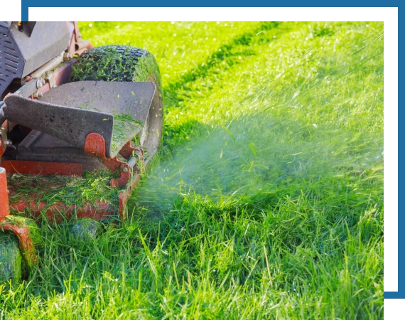 Mowing-Maintenance-3 lawn mowing