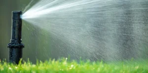 Another Mow Pros image, serving Brownwood, Austin, San Antonio and the surrounding Central Texas area with Lawn Care, Landscaping, Irrigation and Tree services.