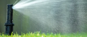 Another Mow Pros image, serving Brownwood, Austin, San Antonio and the surrounding Central Texas area with Lawn Care, Landscaping, Irrigation and Tree services.