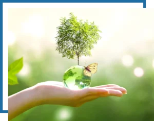 tree planting services. Mow Pros serving central Texas