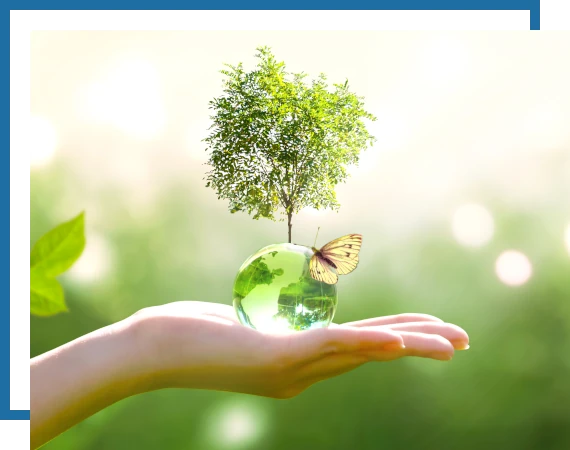 Trees-Planting-4 tree planting services. Mow Pros serving central Texas