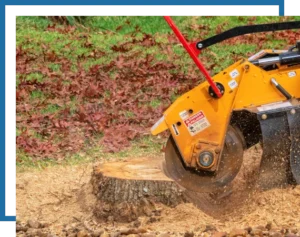 dead tree removal services. Image of a dead tree fallen on a home.