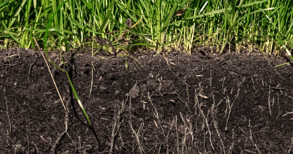 Understanding Local Soil, Brownwood Texas