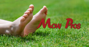 Lawn serviced by Mow Pros, Central Texas, Brownwood, Austin, San Antonio