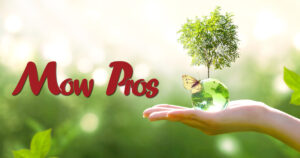 tree planting services