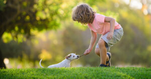 Lawn serviced by Mow Pros, Central Texas, Brownwood, Austin, San Antonio