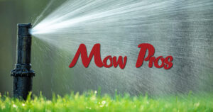 Lawn serviced by Mow Pros, Central Texas, Brownwood, Austin, San Antonio